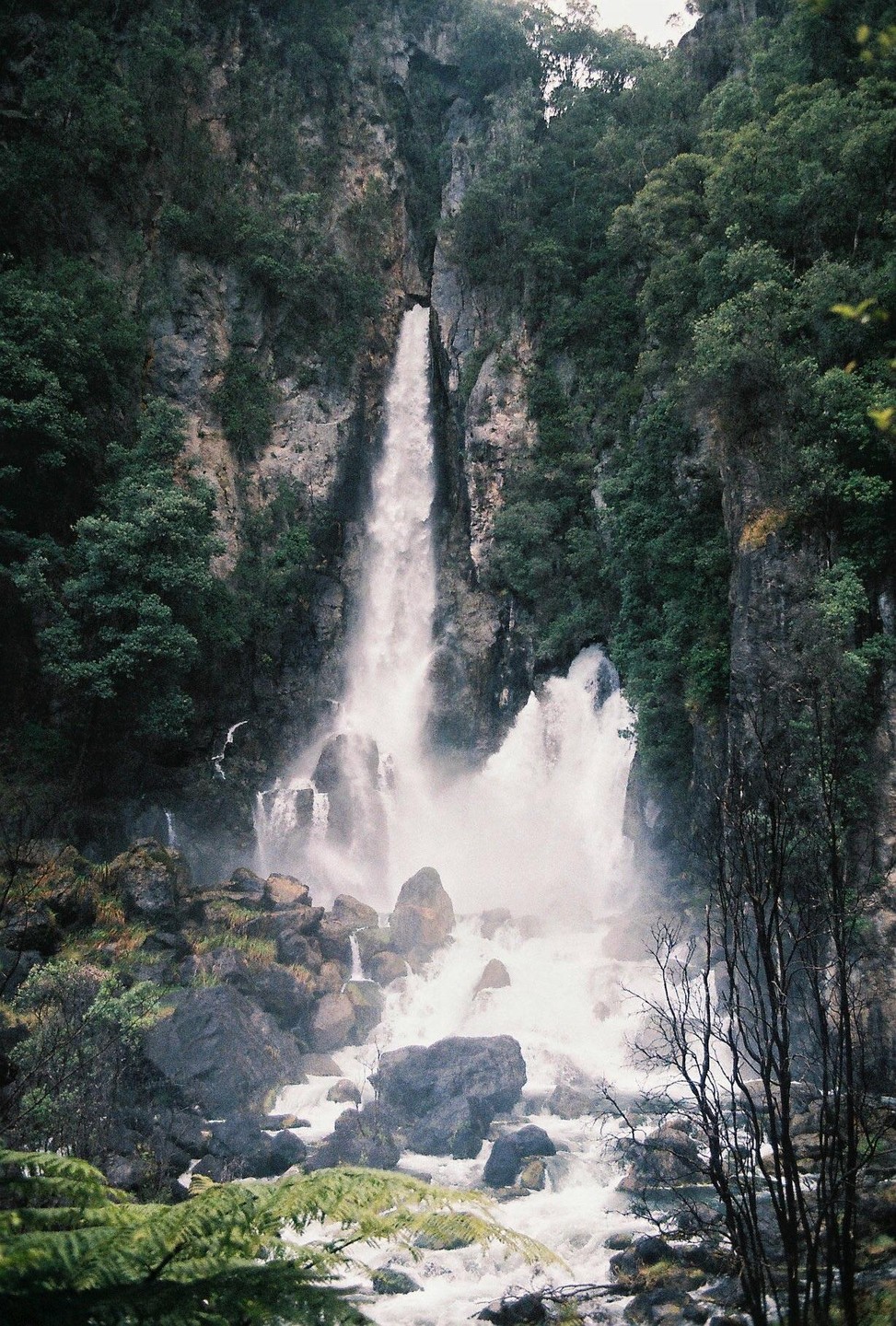 A powerful waterfall cascades down a rocky cliff face surrounded by lush green foliage and trees.