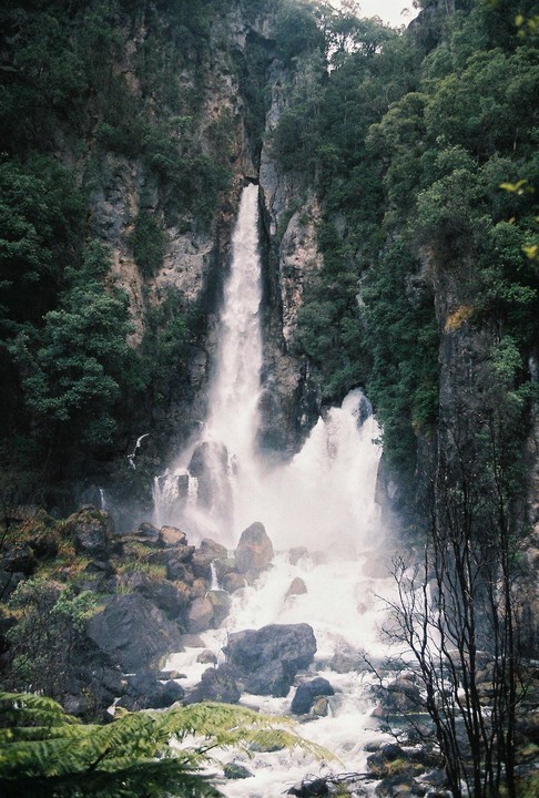 A powerful waterfall cascades down a rocky cliff face surrounded by lush green foliage and trees.