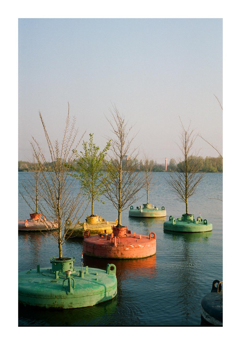 Several colorful buoys with trees growing out of them float on a body of water.