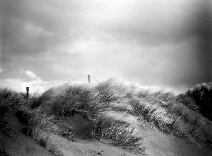 Wind blows across a dune covered in tall grass with a fence in the background under a cloudy sky.
