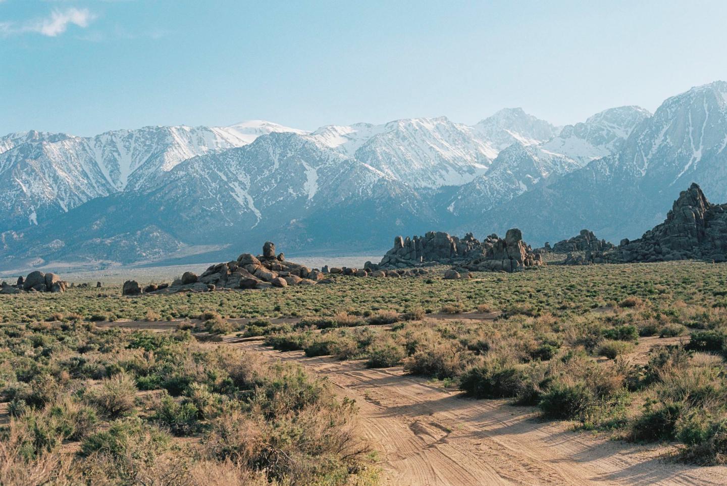 A dirt road leads through a field of scrub brush towards a range of snow-capped mountains under a clear sky.