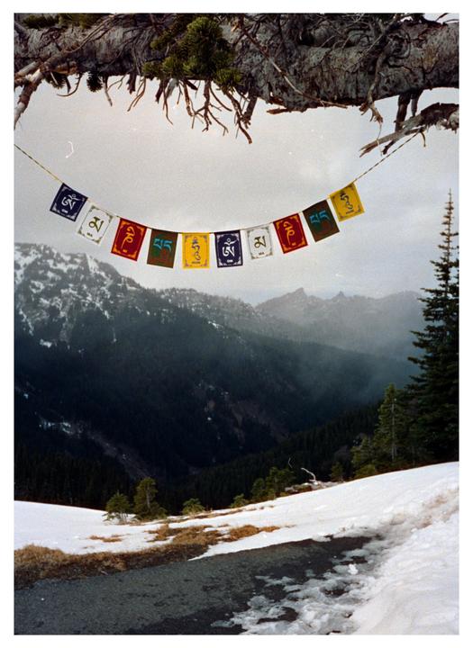 Prayer flags hang from a tree branch over a snowy mountain landscape with a valley and evergreen trees.