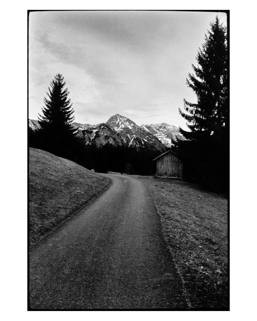 A winding road leads towards a snow-capped mountain range, flanked by tall evergreen trees and a small wooden shed.