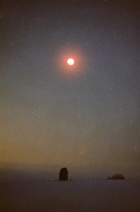 A red moon glows in a starry night sky above a snowy field with a single tree.