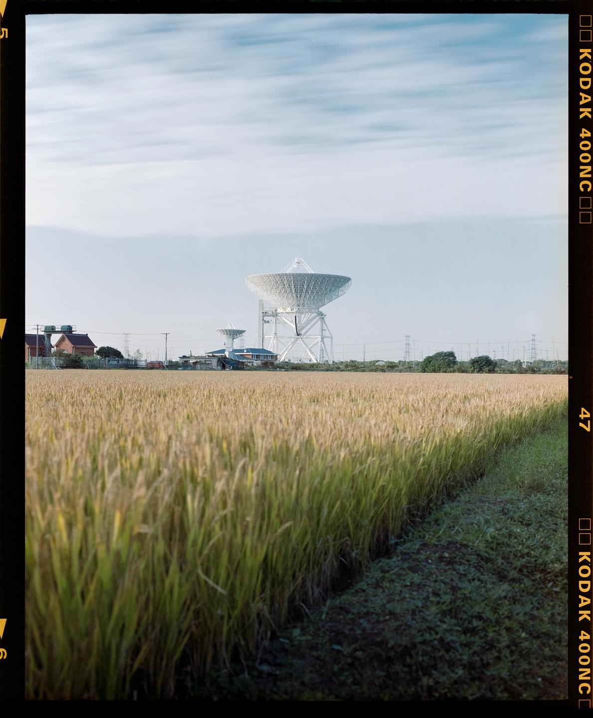 A large satellite dish stands behind a field of tall grass under a cloudy sky.