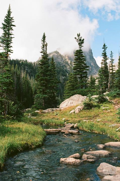 A stream flows through a forest with mountains in the background.