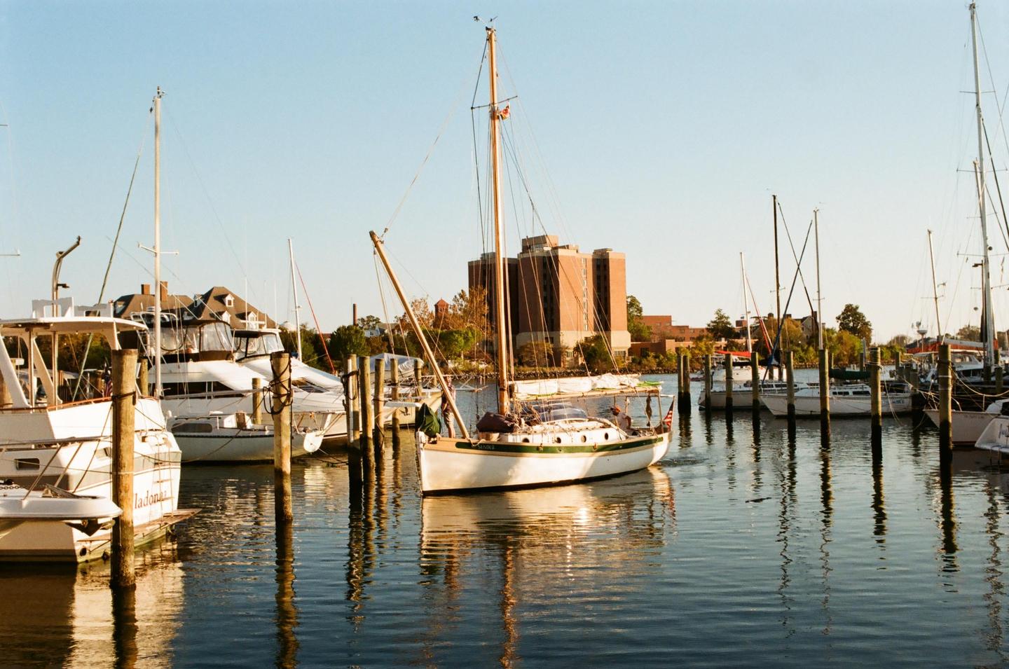 A sailboat is docked in a marina with other boats and buildings in the background.