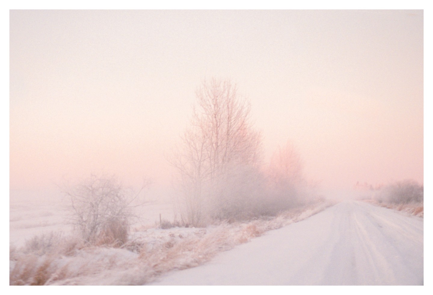 A snow-covered road stretches into the distance, flanked by frosted trees and dry grass under a hazy, pink-tinged sky.
