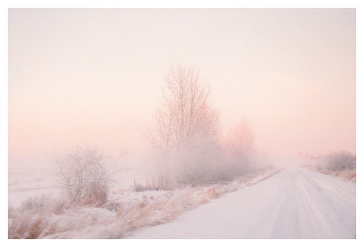 A snow-covered road stretches into the distance, flanked by frosted trees and dry grass under a hazy, pink-tinged sky.