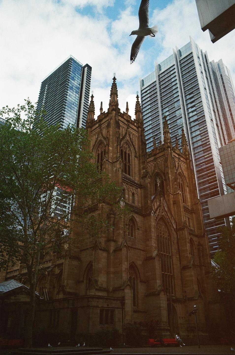 A bird flies over a gothic church with modern skyscrapers in the background.