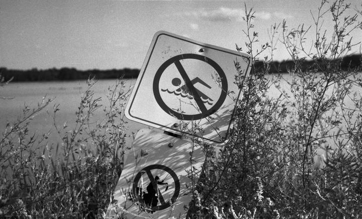Two weathered signs prohibiting swimming and fishing are partially obscured by tall grass and bushes near a body of water.