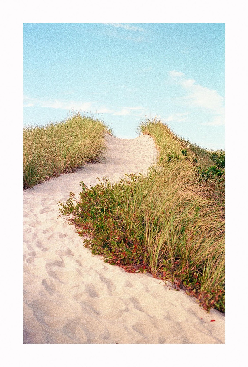 A sandy path leads up a dune covered in tall grass and low-lying bushes under a clear sky.