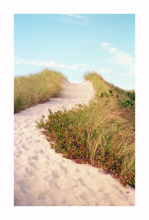 A sandy path leads up a dune covered in tall grass and low-lying bushes under a clear sky.