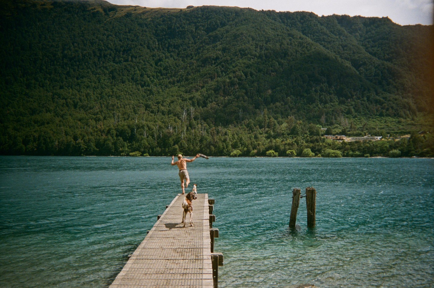 A man throws a stick for a dog from a dock on a lake with a forested mountain in the background.