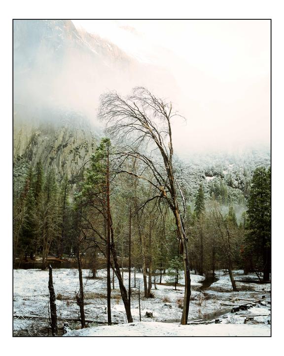 A snow-covered forest with a winding stream is shrouded in fog, with a mountain visible in the background.