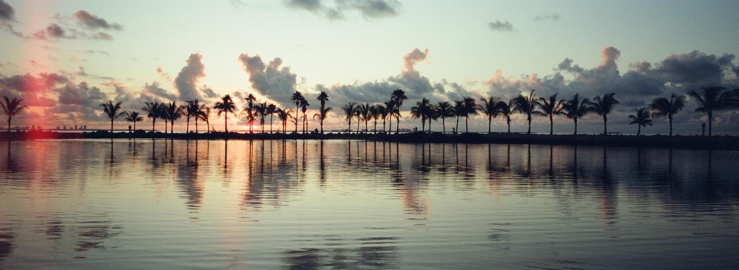 Palm trees line a body of water with a city skyline in the distance under a cloudy sky at sunset.
