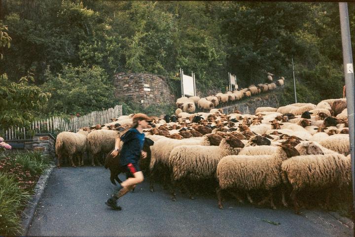 A boy runs through a large flock of sheep on a paved road next to a hillside.