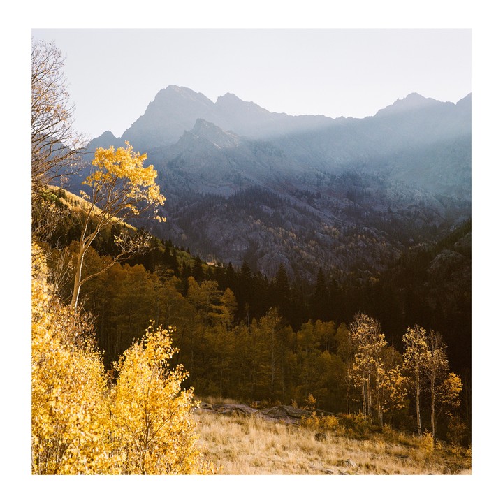 Sunlight illuminates golden trees and a grassy hillside with a mountain range in the background.