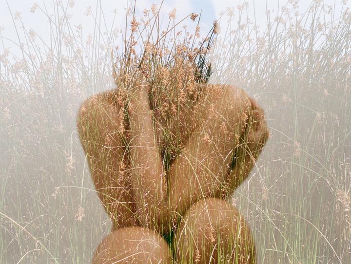 A double exposure shows a person with their head obscured by tall grass.