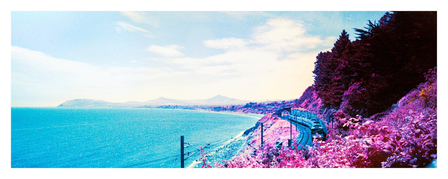 A train travels along a track beside a bright blue sea, with pink and purple foliage covering the hillside.
