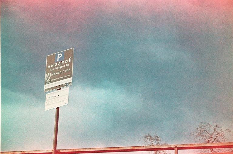 A parking sign stands against a vibrant, colorful sky with bare tree branches visible at the bottom.