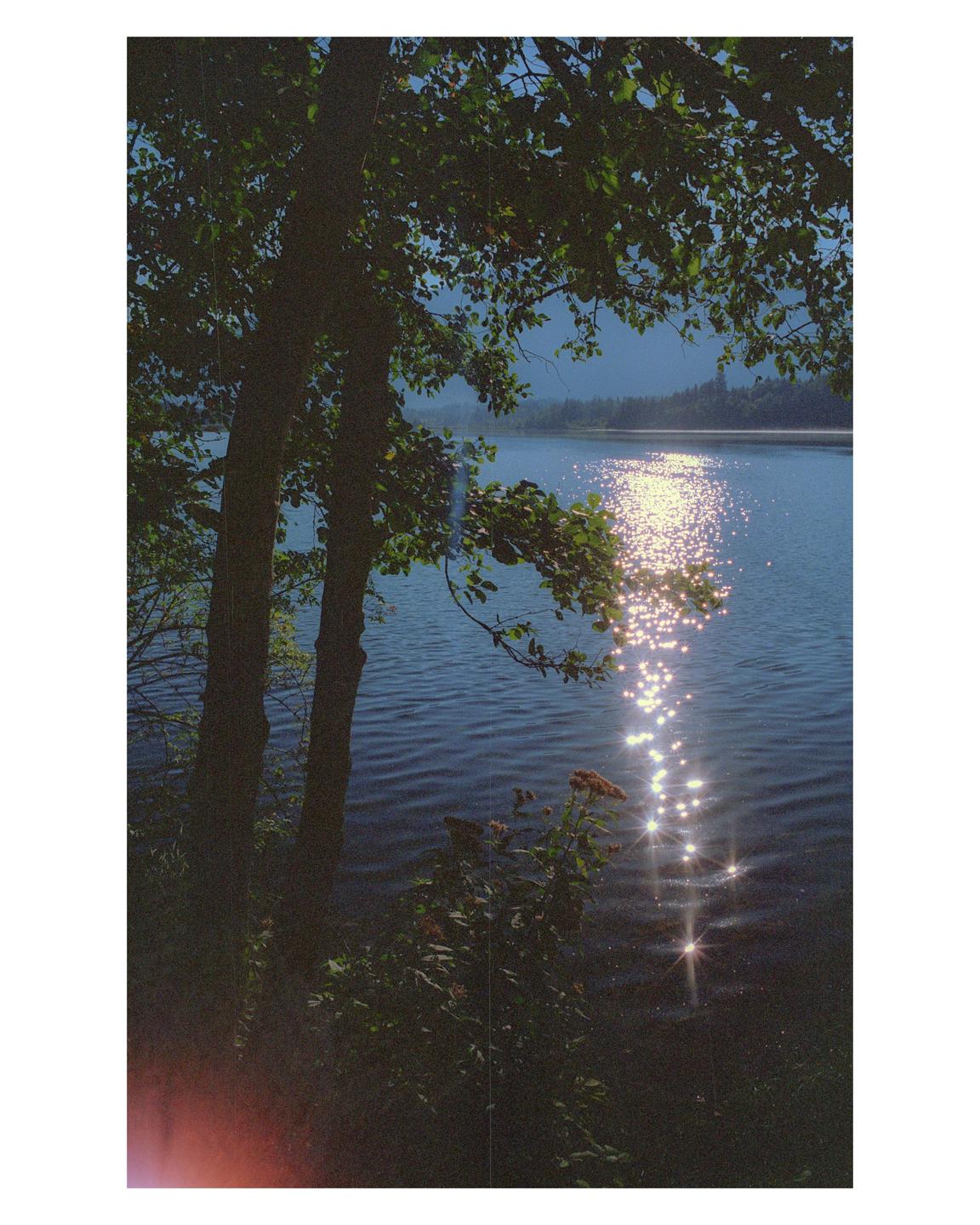 Sunlight sparkles on the surface of a lake, framed by trees and foliage in the foreground.
