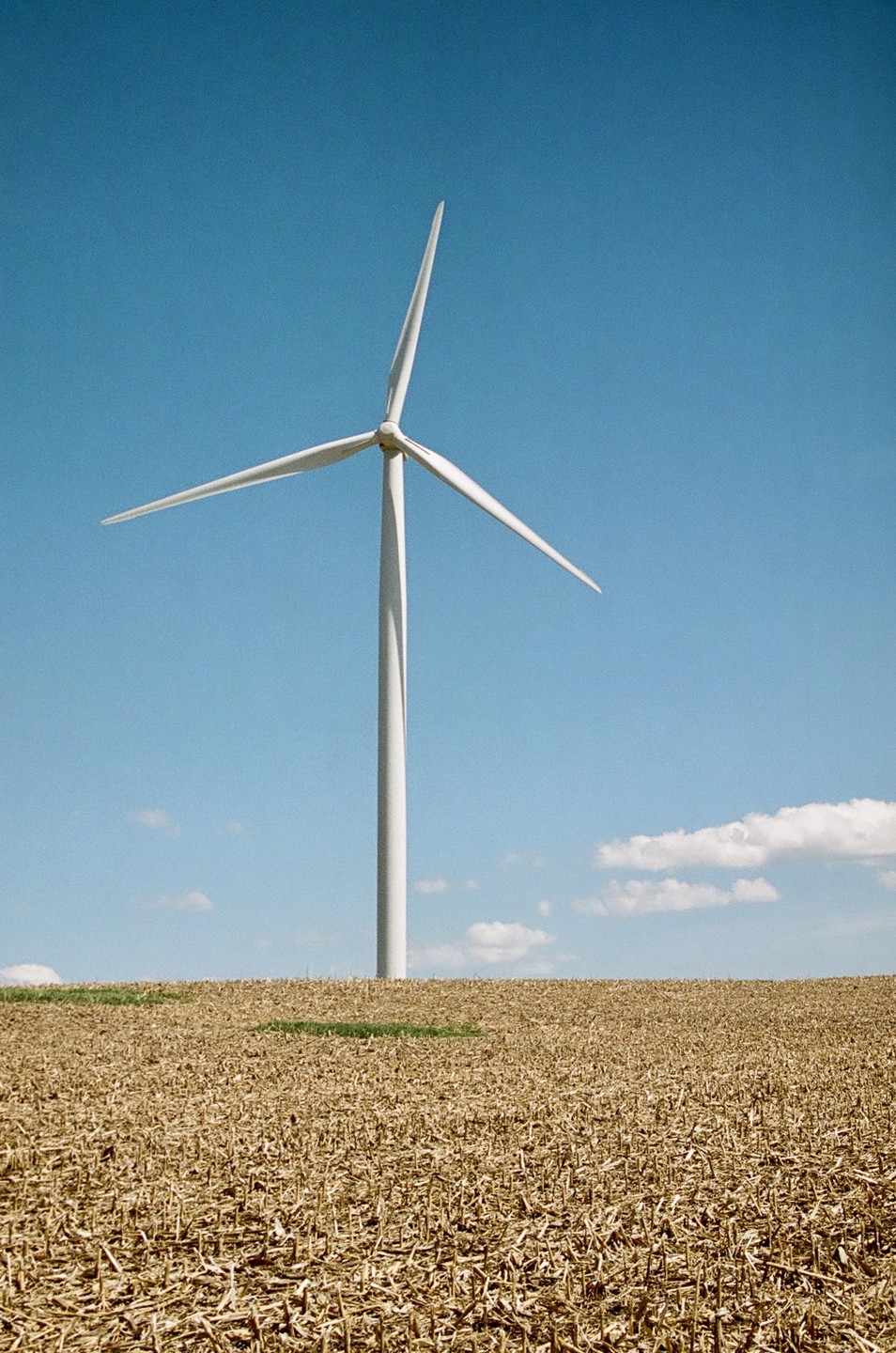 A wind turbine stands tall in a field of harvested crops under a clear blue sky with scattered clouds.