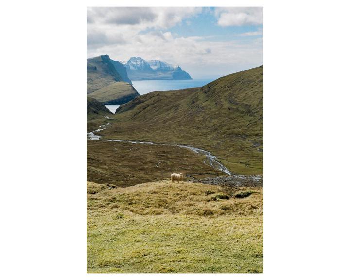 A sheep stands on a grassy hill overlooking a valley with a winding river leading to the ocean and mountains under a cloudy sky.