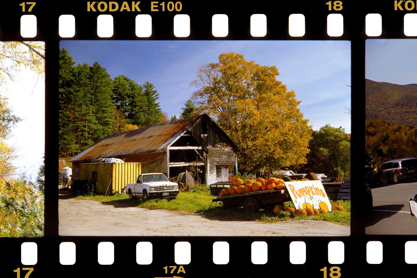 A white pickup truck is parked next to a rustic barn with a rusty roof, and a trailer full of pumpkins sits in front of a large tree with yellow autumn foliage.
