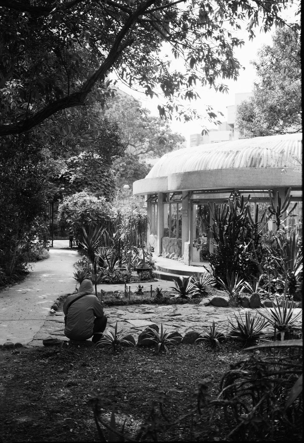 A person sits on a stone path in a garden with a greenhouse in the background.