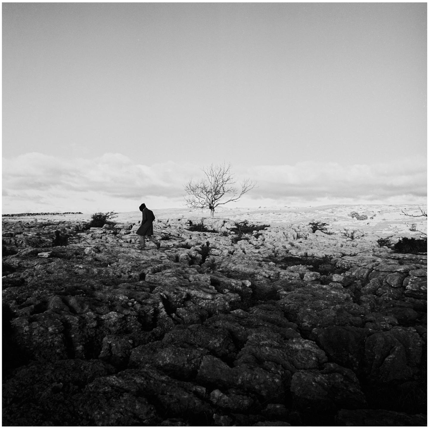 A person walks across a rocky, barren landscape with a single tree in the distance under a cloudy sky.