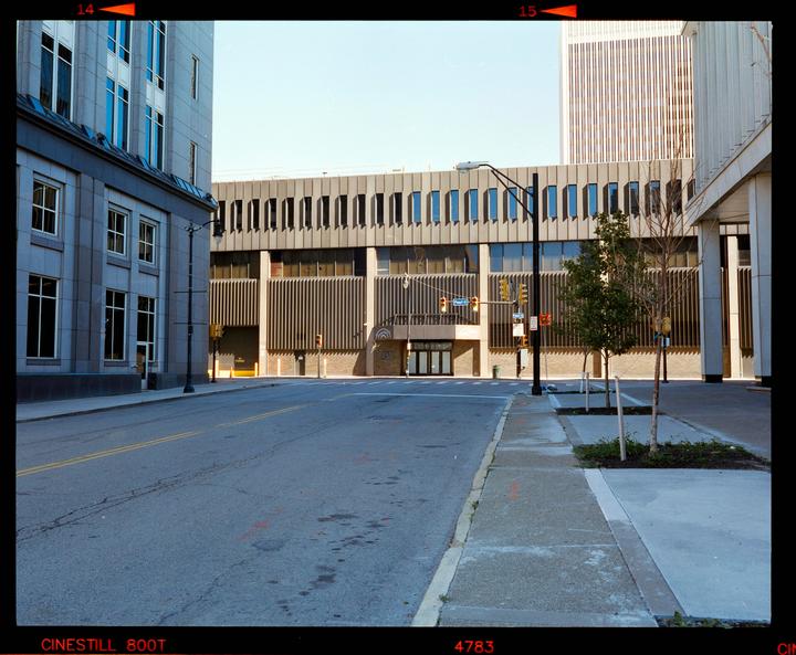 A street in downtown Buffalo, New York is lined with modern buildings and young trees.