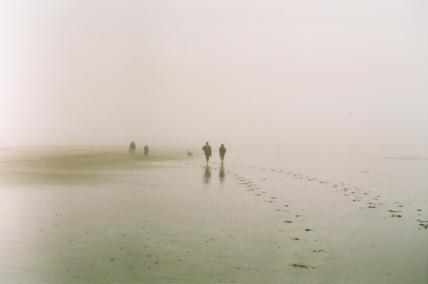 Several people and a dog walk along a foggy beach, leaving footprints in the wet sand.