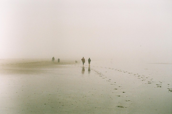 Several people and a dog walk along a foggy beach, leaving footprints in the wet sand.