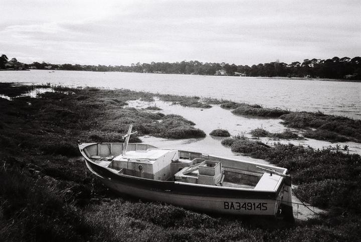 A small boat rests on the grassy bank of a body of water, with trees visible on the far shore.