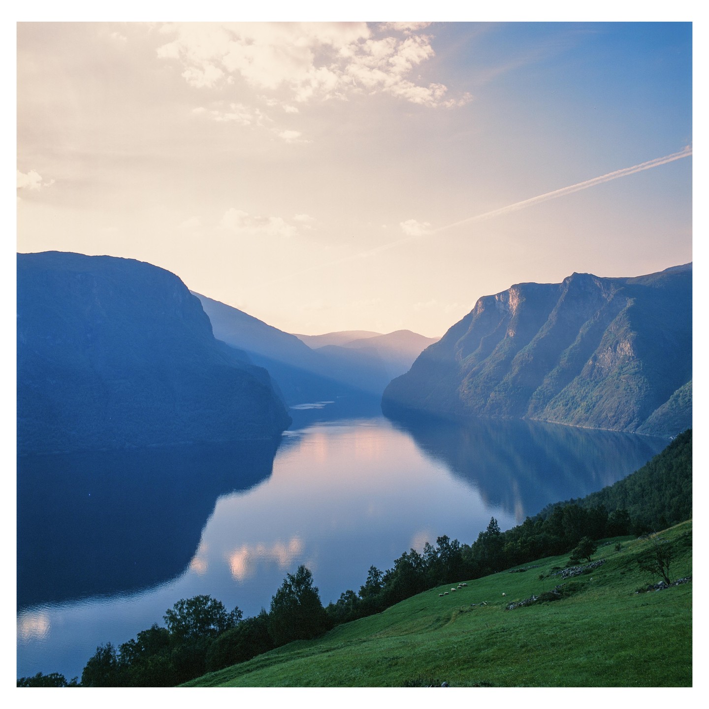 Sunlight illuminates a fjord surrounded by mountains and a grassy hillside.