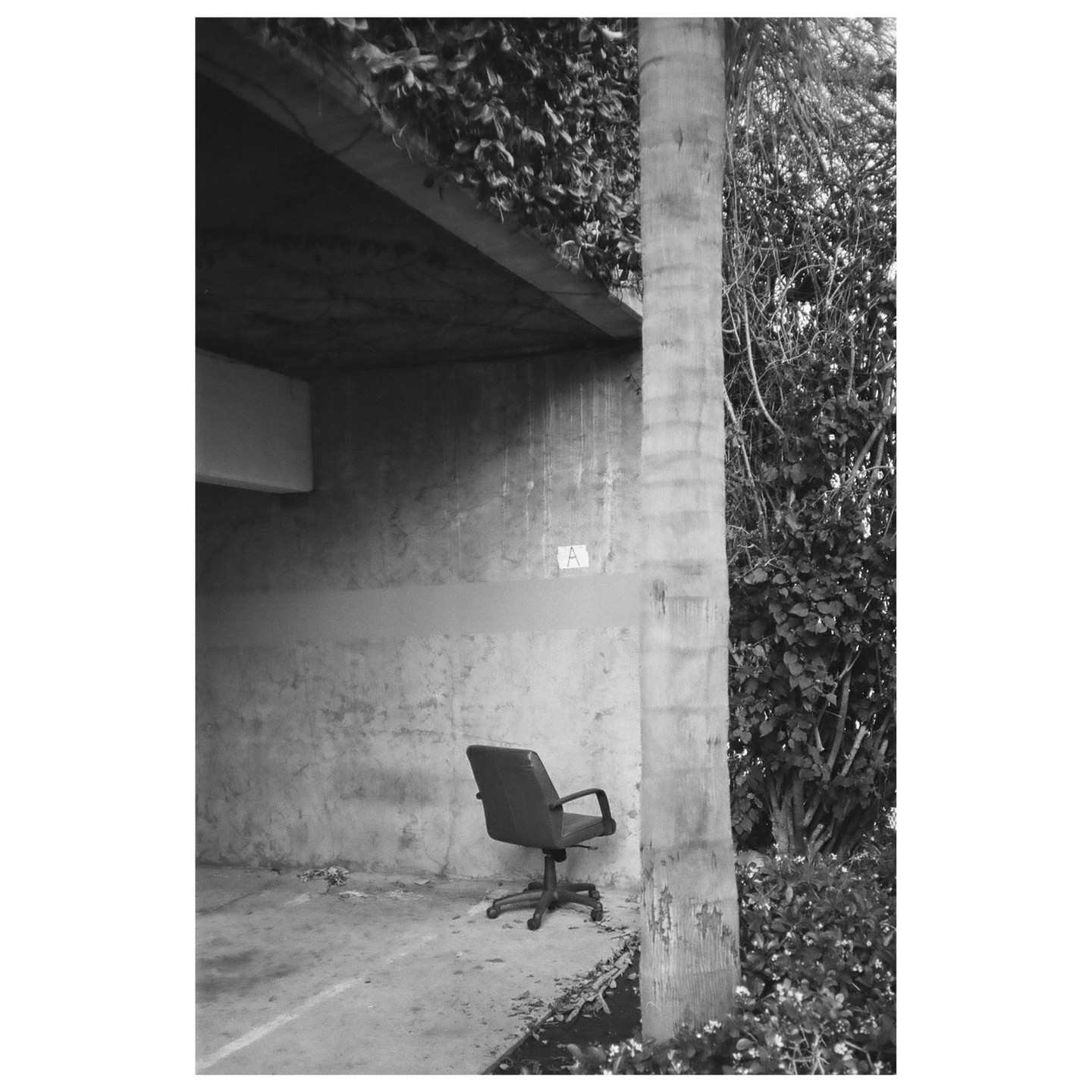 An office chair sits under a concrete overhang next to a tree trunk and foliage.