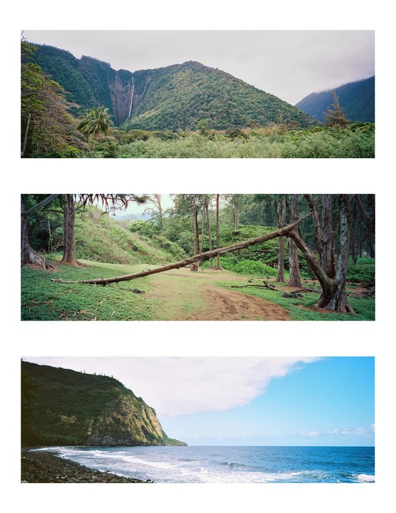 Three panoramic images show a waterfall in a lush valley, a fallen tree in a forest clearing, and a rocky beach next to a cliff.