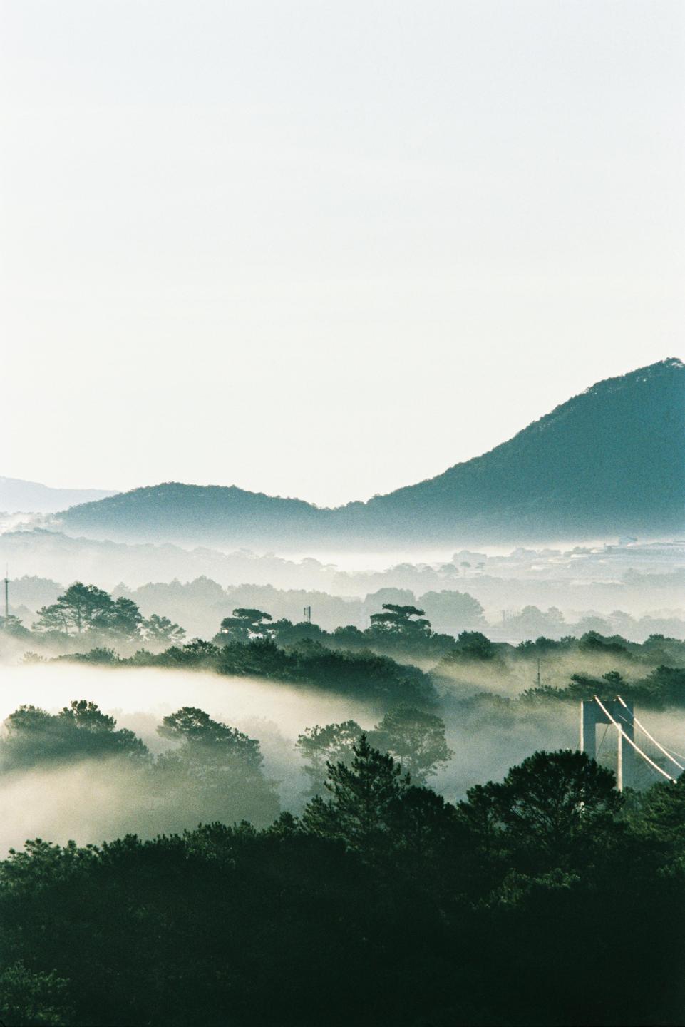 A misty landscape shows a bridge and trees in the foreground with hills in the background.