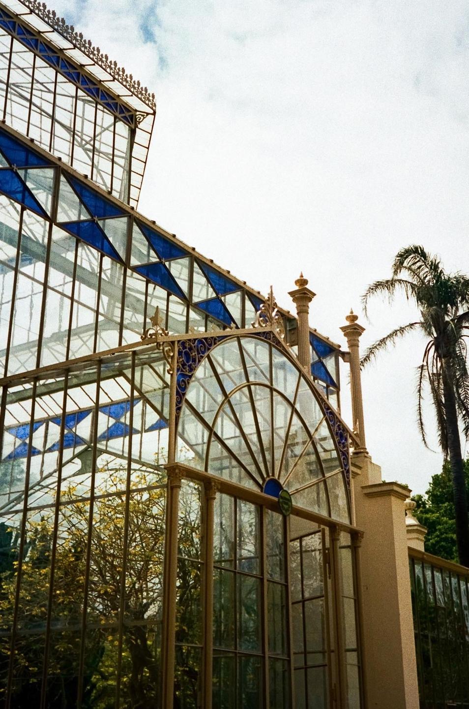 A glass greenhouse with blue accents and a palm tree stands under a cloudy sky.