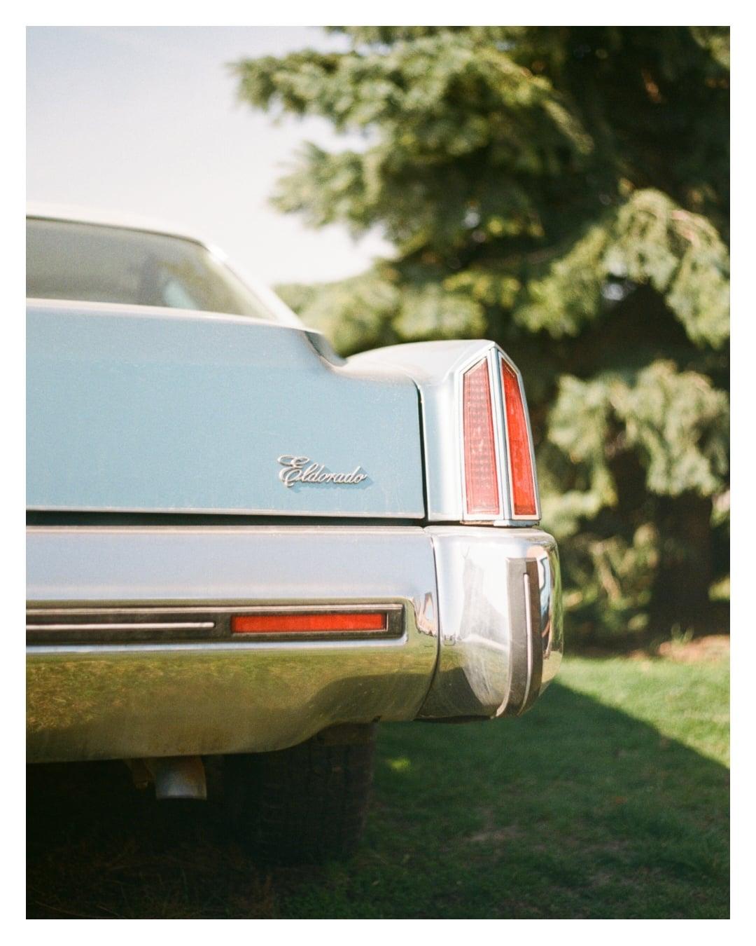 The rear of a light blue Cadillac Eldorado is parked on a grassy lawn next to a large evergreen tree.