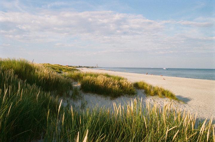 A sandy beach with tall grass dunes in the foreground and people enjoying the water and sand in the distance.