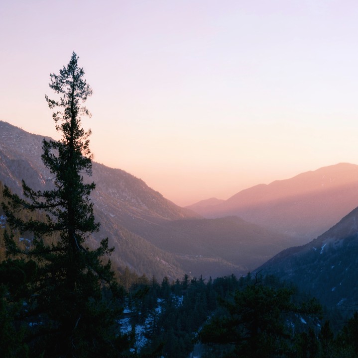A tall pine tree stands in the foreground of a mountain range at sunset.