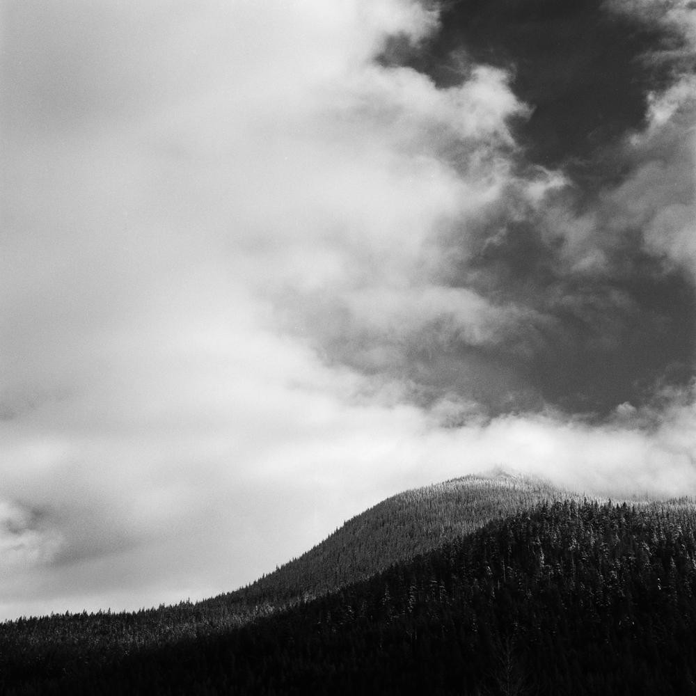 A black and white landscape shows a forested mountain under a cloudy sky.