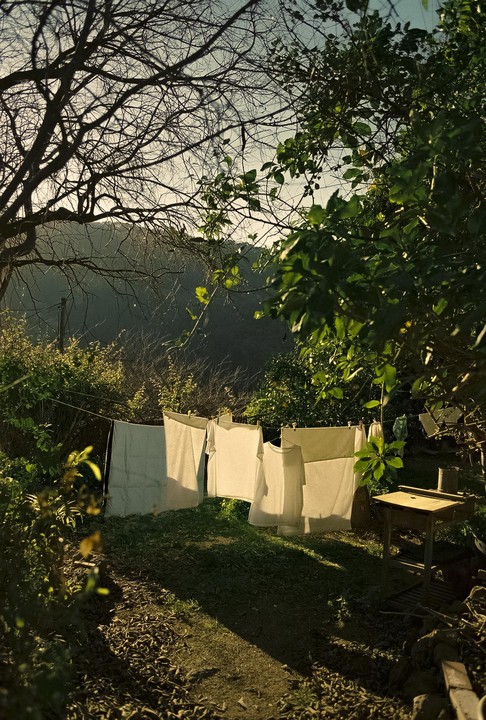 White laundry hangs on a clothesline in a sunlit garden with trees and hills in the background.