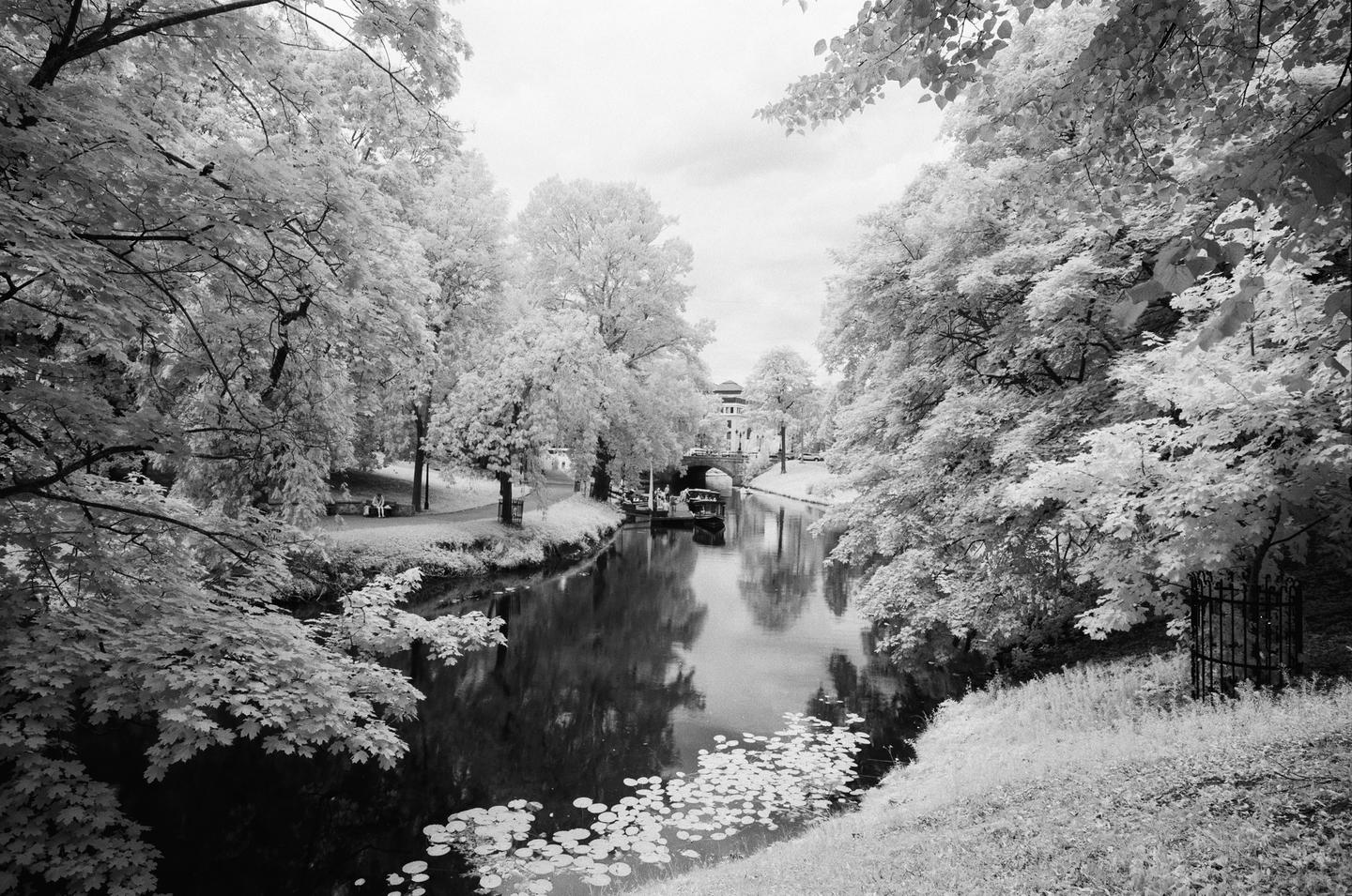 A canal with boats and lily pads is surrounded by trees with bright foliage and a path where people are sitting on a bench, with a bridge and building in the distance.