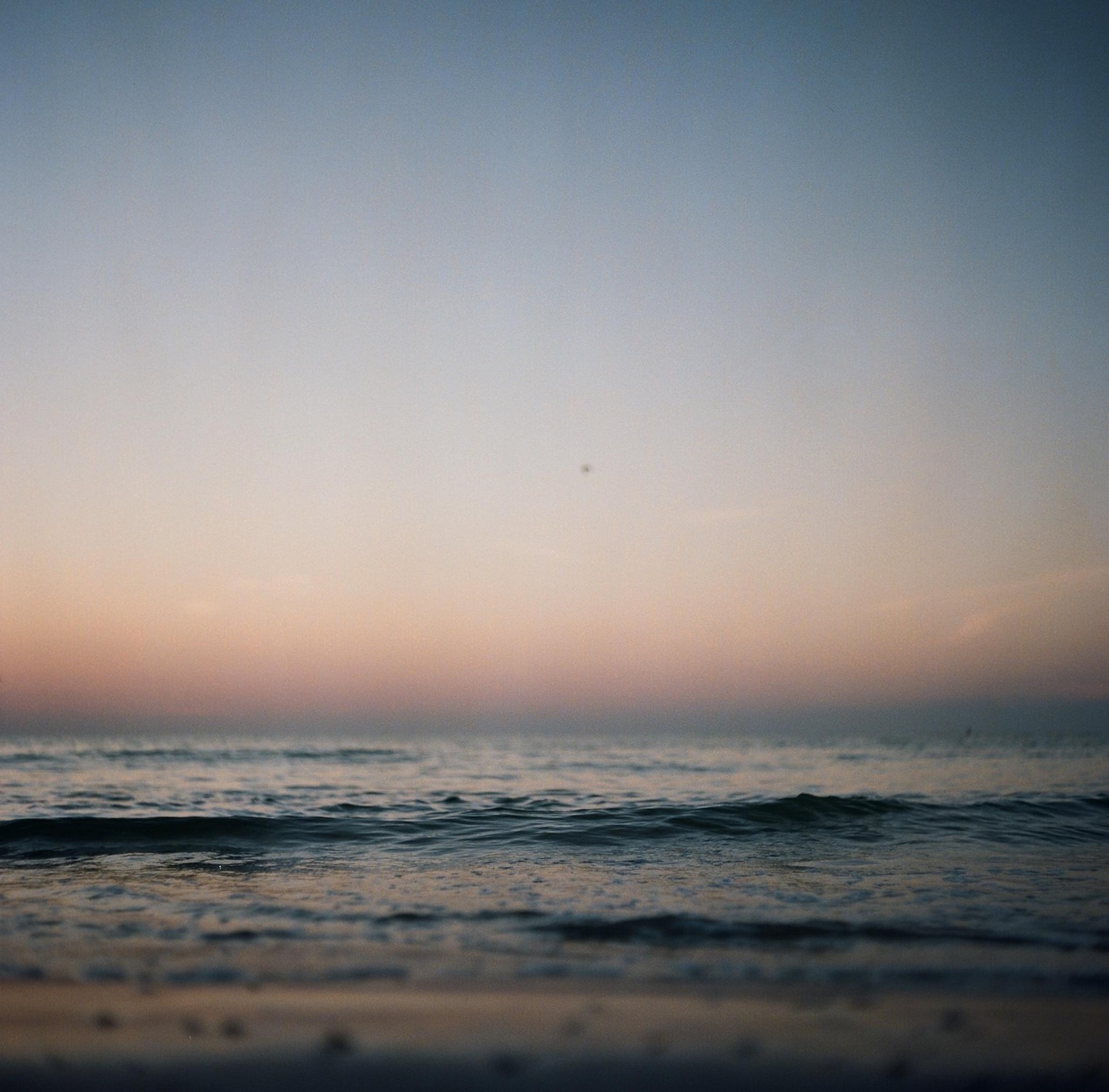 The ocean waves gently roll onto the shore under a pastel sky.