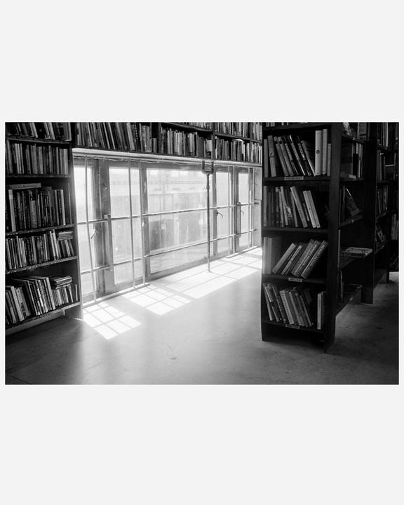 Sunlight streams through a large window onto the floor of a bookstore, illuminating shelves filled with books.