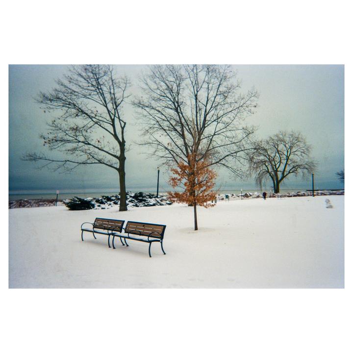 Two empty park benches sit in a snow-covered park with bare trees and a body of water in the background.