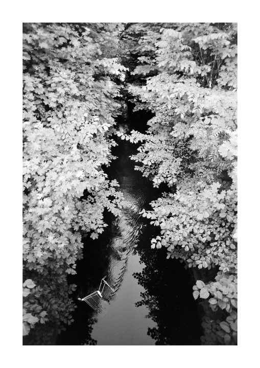 A shopping cart is partially submerged in a narrow river surrounded by lush foliage.